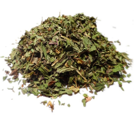 Boutique herboristerie Pierres des elfes - Menthe Poivrée
