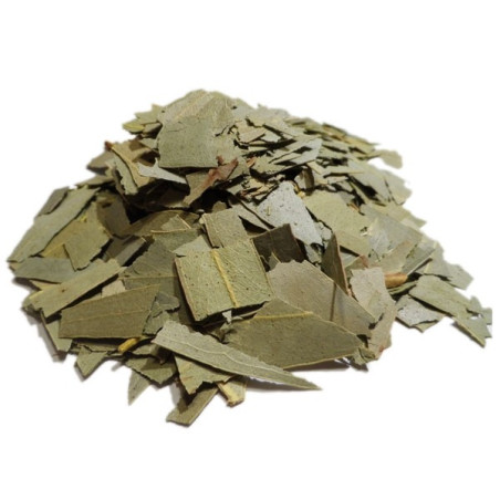 Boutique herboristerie Pierres des elfes - Eucalyptus