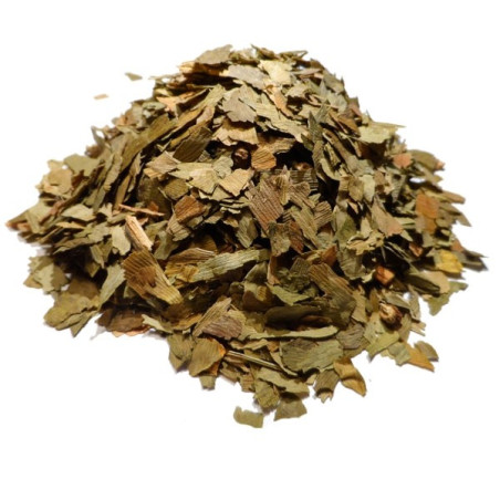 Boutique herboristerie Pierres des elfes - Ginkgo