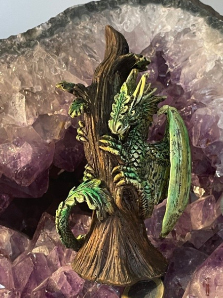 Boutique ésotérique pierres des elfes - Dragon de la Forêt