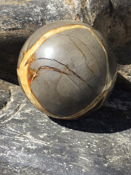 SPHERE SEPTARIA