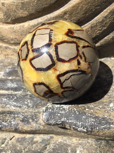 SPHERE SEPTARIA