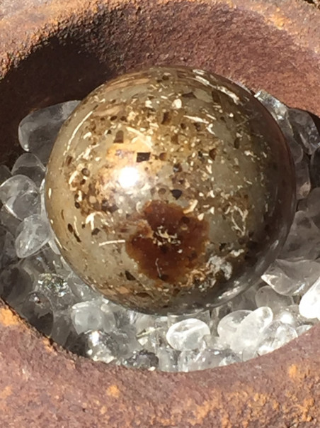 SPHERE AMMONITE