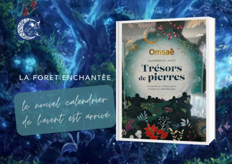 Calendrier de l'Avent la forêt enchantée