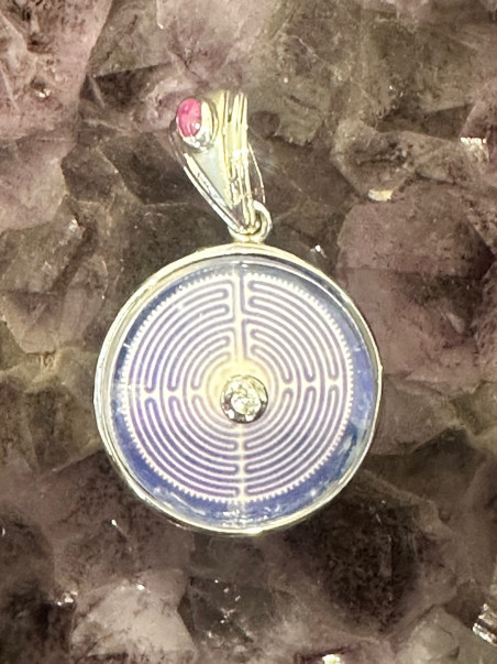 Le Labyrinthe de Chartres  (SYSTEME IMMUNITAIRE)