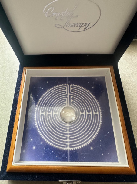Le Labyrinthe de Chartres  (SYSTEME IMMUNITAIRE)